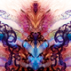 Illustration for article titled Incredible kaleidoscope photographs of Portuguese Man O War Zooids